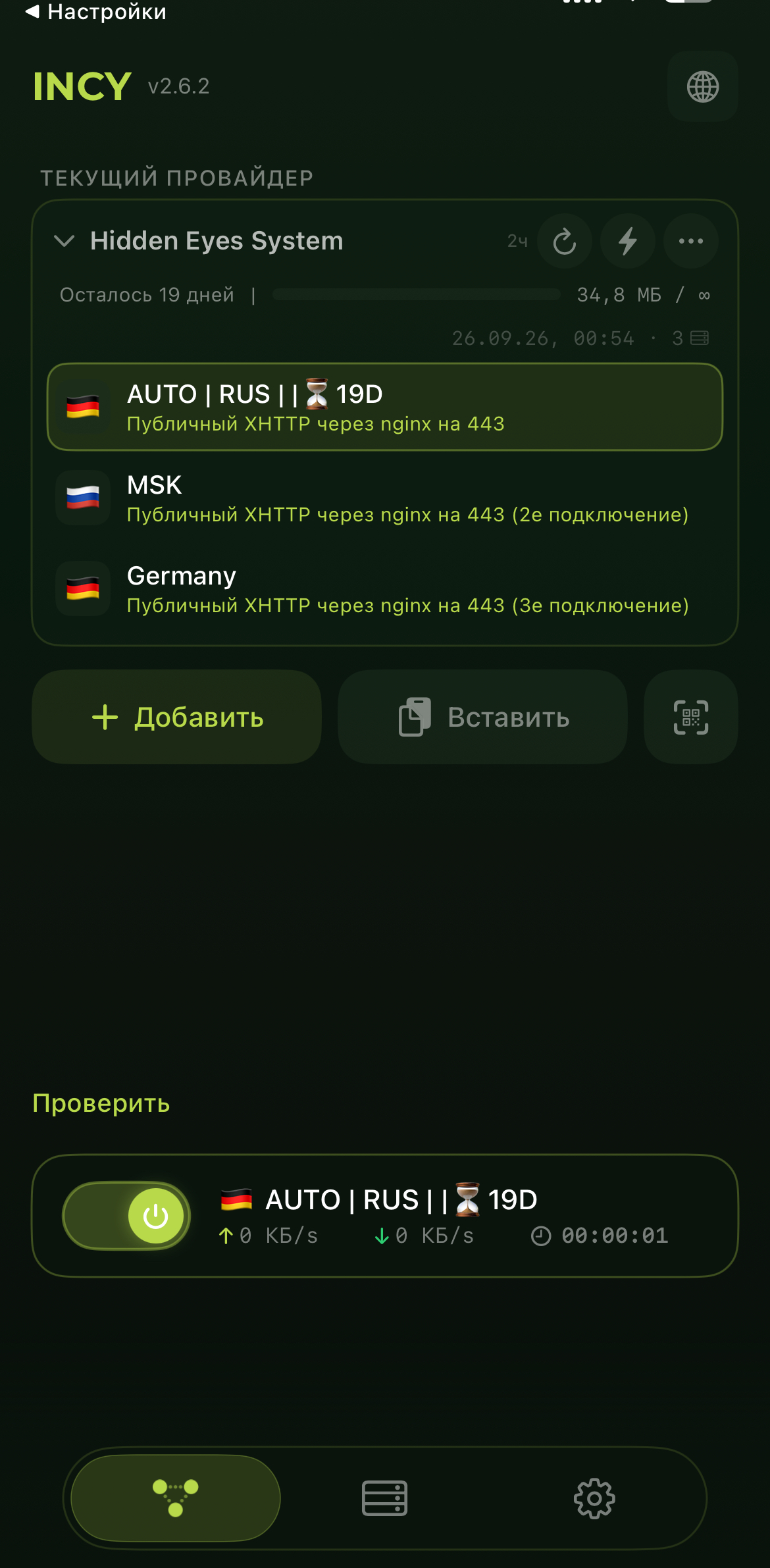 Incy после импорта Hidden Eyes System: список профилей и нижний переключатель подключения