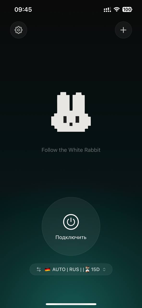 Экран Wrabbit Proxy на iPhone: добавление, выбранный профиль и кнопка подключения